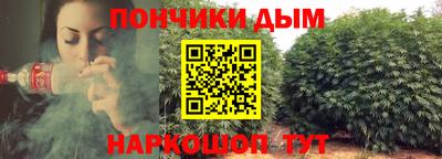 шишки Краснокаменск