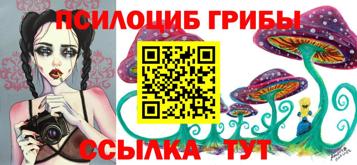 цена   Вход с VPN  Псилоцибиновые грибы GOLDEN TEACHER  Елец  Псилоцибиновые грибы MAGIC MUSHROOMS 